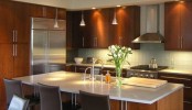Our Services